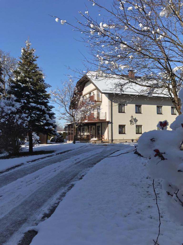 Pension Sommerauer Hallein Bagian luar foto